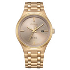 Citizen Eco-Drive Axiom BM7653-50Q Men's Watch