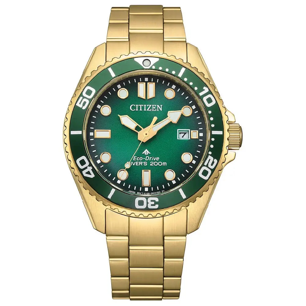 Citizen Promaster Dive BN0262-59W Men's Watch